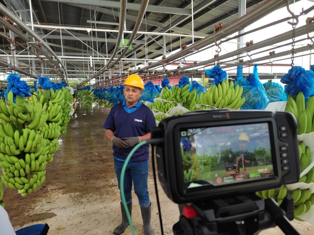 Trabajando en Chiquita, Bocas del Toro, Panamá.